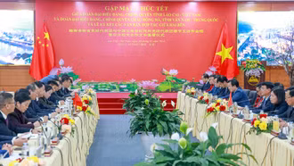 Đoàn đại biểu Đảng, Chính quyền châu Hồng Hà, tỉnh Vân Nam (Trung Quốc) thăm, chúc tết tỉnh Lào Cai