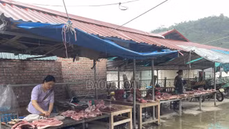 Đẩy mạnh quản lý, kiểm soát giết mổ, kinh doanh động vật, sản phẩm động vật