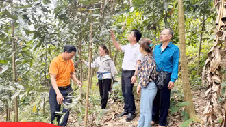 Hiệu quả cán bộ, đảng viên giúp hộ nghèo ở huyện Bát Xát