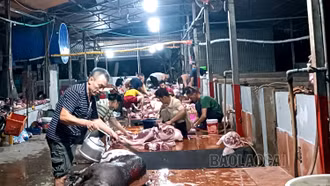 Bảo Thắng: Đưa các hộ giết mổ gia súc tự phát vào khu giết mổ tập trung tại xã Gia Phú