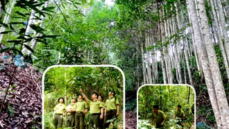 Ổn định công tác bảo vệ rừng nhờ tăng cường kiểm tra, kiểm soát