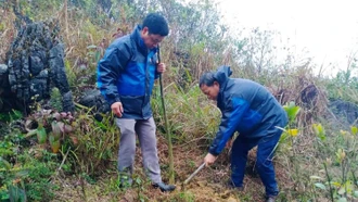 Trồng 38.600 cây phân tán tại huyện Bảo Yên và Si Ma Cai