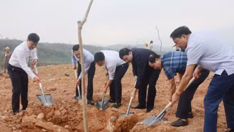 Phát động Tết trồng cây đời đời nhớ ơn Bác Hồ tại Khu công nghiệp Tằng Loỏng