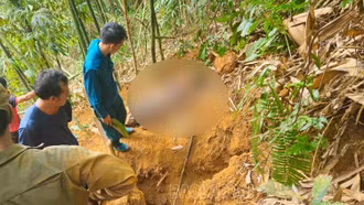 Bát Xát: 1 người bị đá đè tử vong khi đào con dúi trong rừng vầu