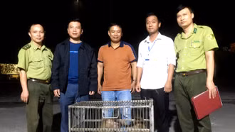 Một hộ dân giao nộp 2 cá thể khỉ thuộc danh mục nguy cấp, quý hiếm cho Kiểm lâm tỉnh