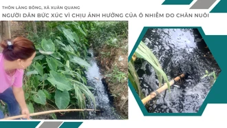 Thôn Làng Bông, xã Xuân Quang người dân bức xúc vì chịu ảnh hưởng của ô nhiễm do chăn nuôi