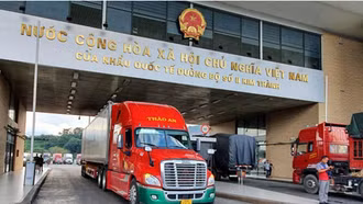 Quy định về quản lý hoạt động vận tải đường bộ qua biên giới