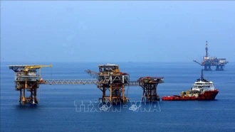 Petrovietnam công bố 2 phát hiện dầu khí mới mỏ Rồng và mỏ Bunga Aster