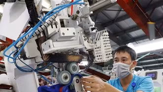 Năng suất lao động và cải cách tiền lương: Bài toán "con gà - quả trứng"