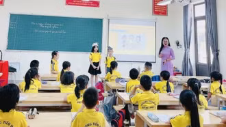 Luật Nhà giáo giúp chuẩn hóa đội ngũ, minh bạch chính sách đãi ngộ với giáo viên