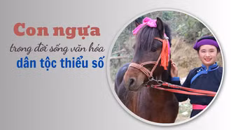 Con ngựa trong đời sống văn hóa đồng bào dân tộc thiểu số