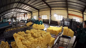 Căng thẳng Biển Đỏ: Dự báo xuất khẩu cao su vẫn gặp khó