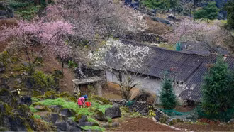 Lên kế hoạch du xuân Tết Nguyên đán 2024, không thể bỏ qua những địa điểm này