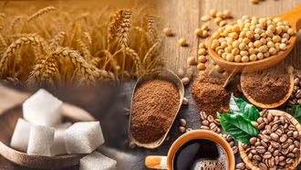 Giá nhiều mặt hàng nông sản đồng loạt giảm mạnh