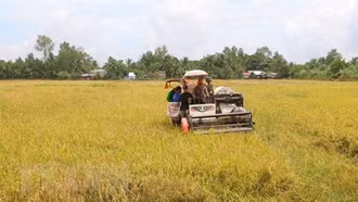 Nguy cơ thiếu hụt nguồn nước trong vụ đông xuân 2023 - 2024