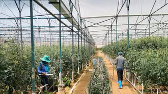 Hợp tác công tư thúc đẩy sản xuất xanh