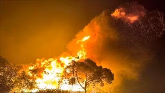 Australia: Cảnh báo nguy cơ cháy rừng lan rộng do nắng nóng cực đoan