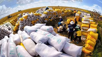 Liên tiếp lập kỷ lục, nông sản Việt thành "ngôi sao" trên thị trường thế giới