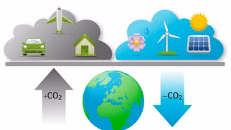 Việt Nam được chi trả 51,5 triệu cho giảm phát thải thông qua bảo tồn rừng