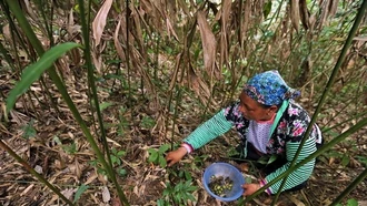 UNDP chia sẻ bài học quốc tế về hỗ trợ tài chính cho mục tiêu giảm nghèo của Việt Nam