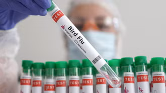 Lưu ý của WHO về virus cúm A/H5N2