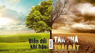 Thích ứng với biến đổi khí hậu hướng đến mục tiêu phát triển bền vững