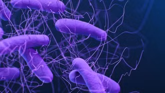 Châu Âu đối mặt với vi khuẩn siêu kháng thuốc mới