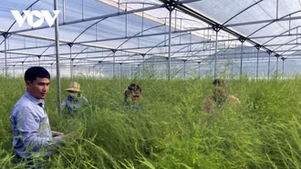 Tăng cường liên kết giữa các địa phương để phát triển hệ sinh thái khởi nghiệp