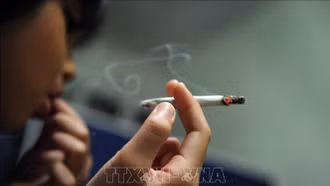 Bảo vệ trẻ em trước tác động của ngành công nghiệp thuốc lá