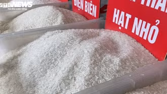 Gạo lại tăng giá liên tục, tiểu thương không dám nhập thêm hàng