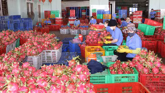 Vượt qua khó khăn, nỗ lực tìm lại đà tăng trưởng