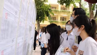 Nhiều chứng chỉ ngoại ngữ được sử dụng xét tuyển đại học 2024