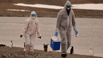 WHO lo ngại về sự lây lan của cúm gia cầm H5N1