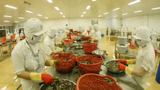 Cơ hội từ thị trường nông sản ASEAN