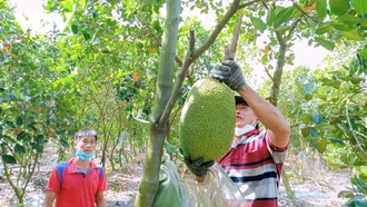 "Mạng nhà nông" dự báo cung cầu kết nối nông dân và doanh nghiệp