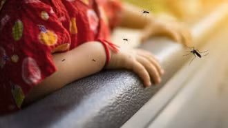 Hiểu lầm tai hại về bệnh sốt xuất huyết