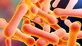 Bệnh bạch hầu nguy hiểm thế nào mà từng được coi là nỗi ám ảnh của thế giới?