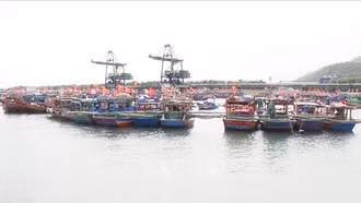 Bác bỏ thông tin cưỡng chế, đàn áp người dân phản đối xây dựng Cảng Long Sơn