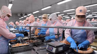 Tín hiệu lạc quan về kim ngạch xuất khẩu thuỷ sản của Việt Nam