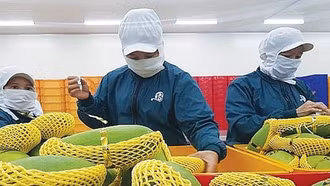 Nhiều nông sản kỳ vọng gia nhập "câu lạc bộ" tỷ USD