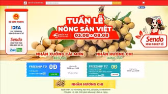 Bảo vệ thương hiệu khi xuất khẩu qua sàn thương mại điện tử