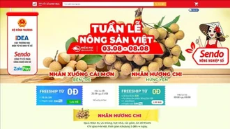 Bảo vệ thương hiệu khi xuất khẩu qua sàn thương mại điện tử