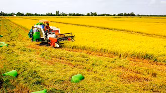 Sản xuất nông nghiệp bền vững