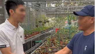 Lao vào "cơn sốt" lan đột biến, nhiều người khuynh gia bại sản thế nào?