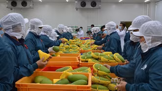 Xuất khẩu thủy sản, cà phê, rau quả "made in Việt Nam" đang tăng tốc