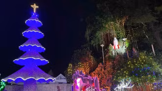 Kì công làm cây thông Noel từ hàng triệu vỏ ốc ở Nghệ An