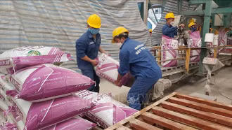 Giải pháp nào ổn định thị trường khi giá phân bón dự kiến vẫn tăng?