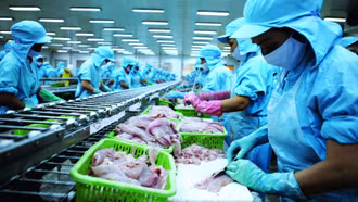 Ngành thủy sản Việt Nam: Kỳ vọng thêm nhiều sự tiếp sức để vượt qua “nốt trầm”