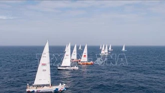 Đội Việt Nam tham gia Giải đua thuyền buồm Clipper Race đã về đích thứ 5