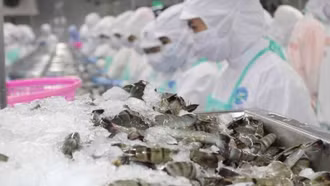 Hoa Kỳ rà soát hành chính thuế chống bán phá giá một số sản phẩm của Việt Nam